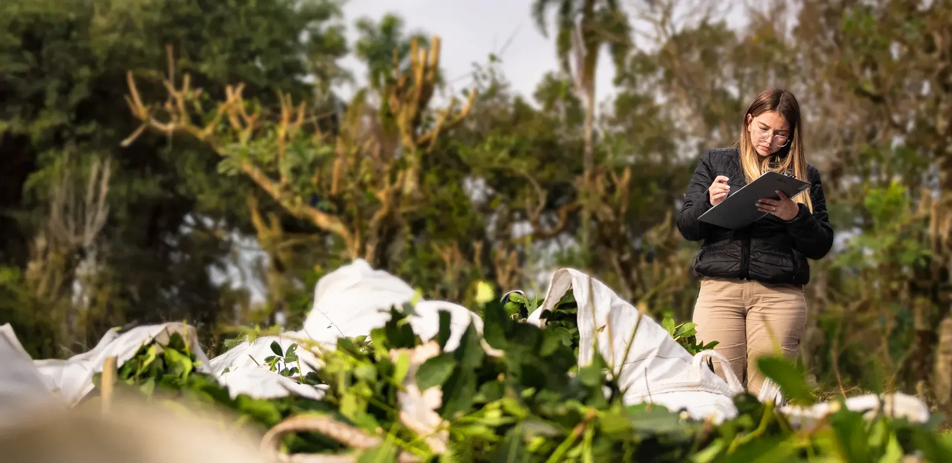 Investigadora en el campo