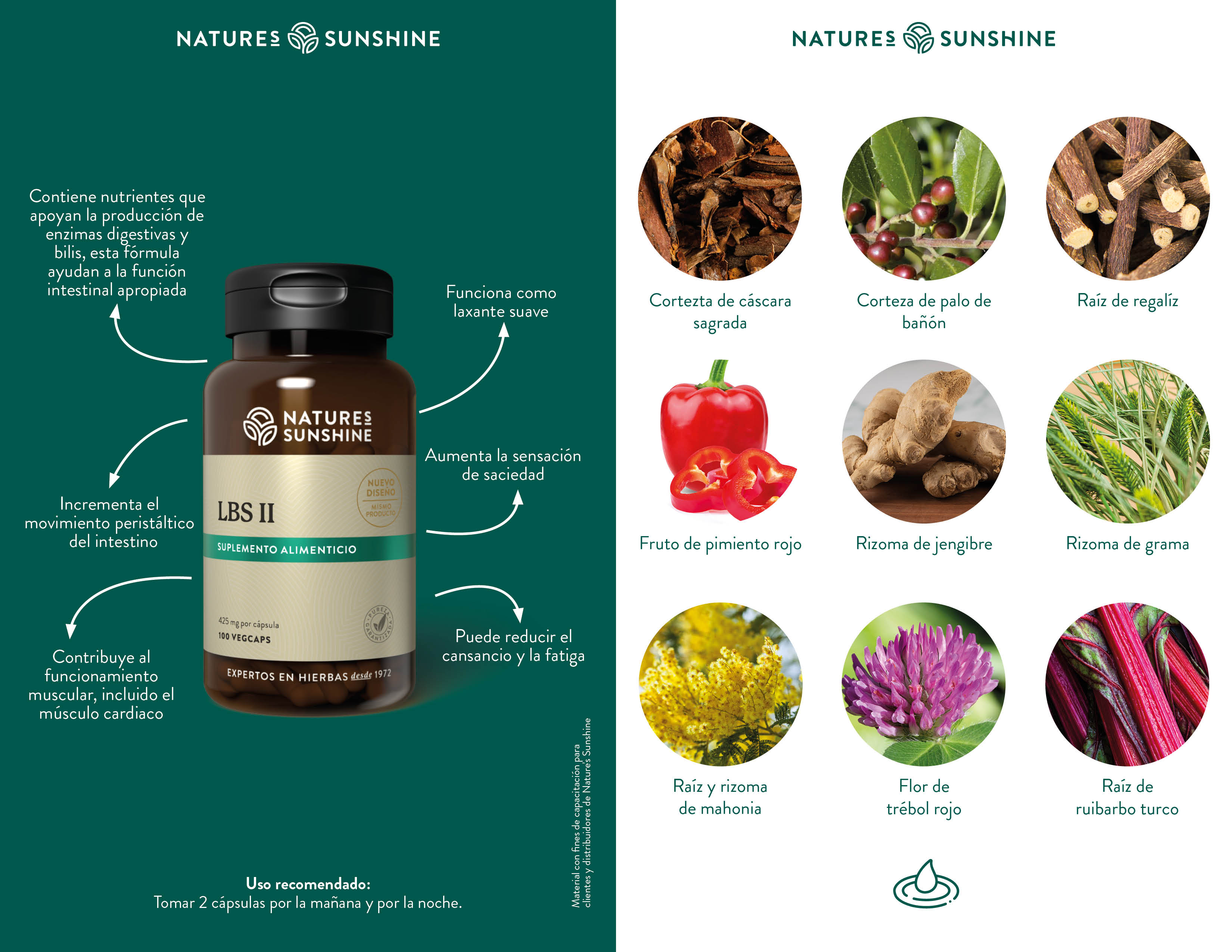 Estimulador del Intestino Bajo